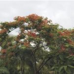 article image - 